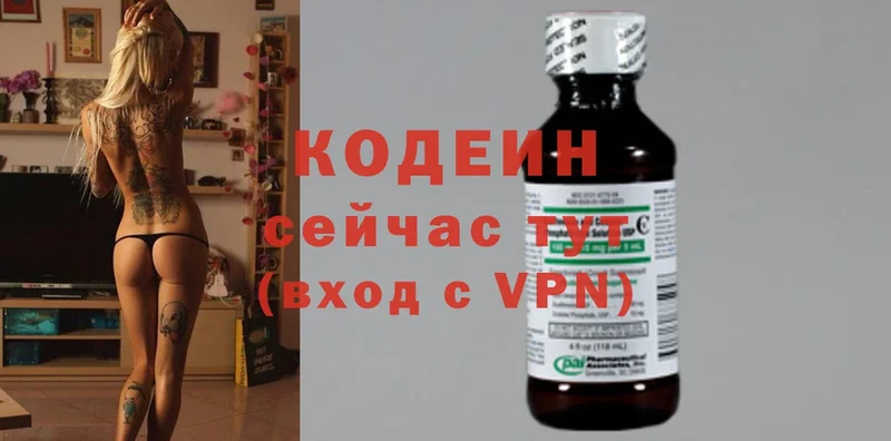 Codein напиток Lean (лин)  где можно купить наркотик  Александровск 