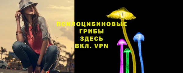 спиды Янаул