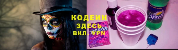 молекула духа Яранск