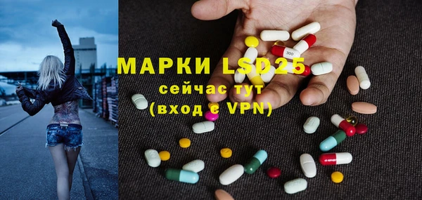 ALPHA PVP Покачи