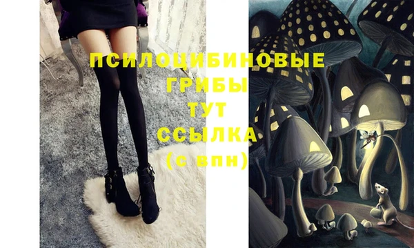 спиды Янаул