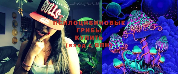 молекула духа Яранск