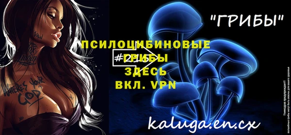 молекула духа Яранск