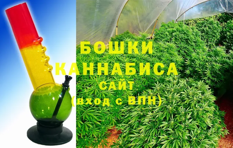 цена наркотик Александровск Каннабис White Widow